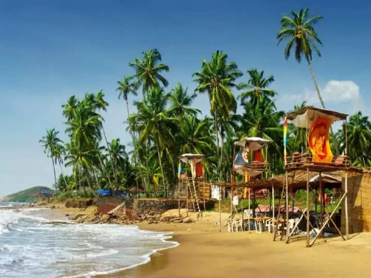 Goa Trek: Boring gestured from the middle of Goa, so try these adventurous draws here