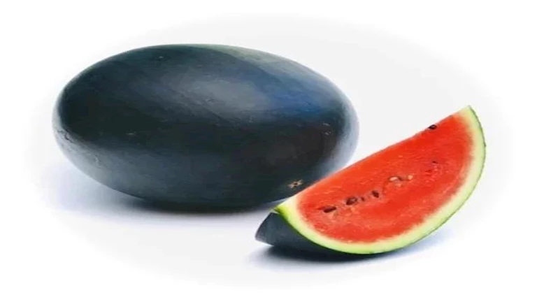 هذا-ما-يحدث-لكليتك-عند-تناول-البطيخ.