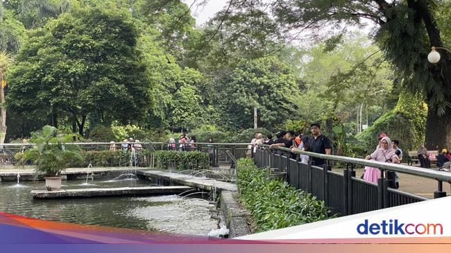 Stories of residents choose Ragunan in a long holiday: bored cafe atmosphere