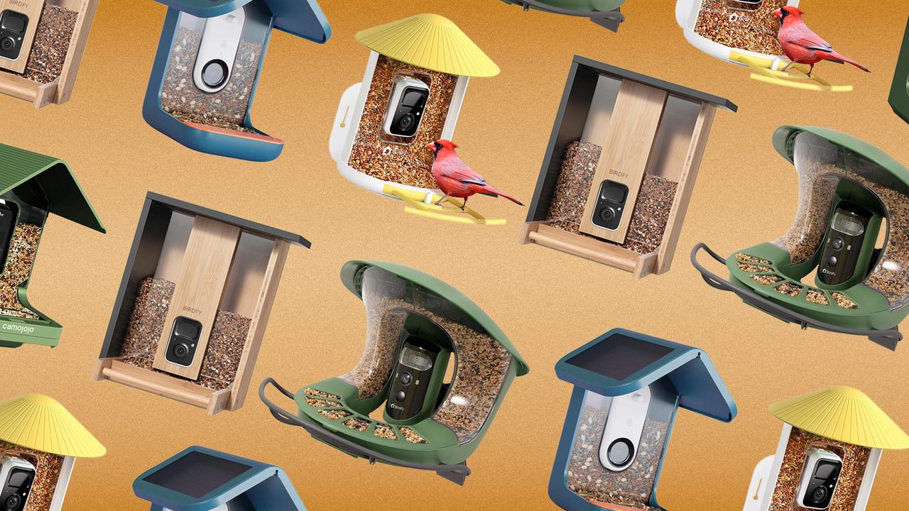 7-simplest-tidy-bird-feeders,-acciting-to-consultants-(2025)
