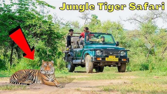 Sariska Wildlife Safari plans? The best time to go into the video, the right root to achieve and the whole process of discussion