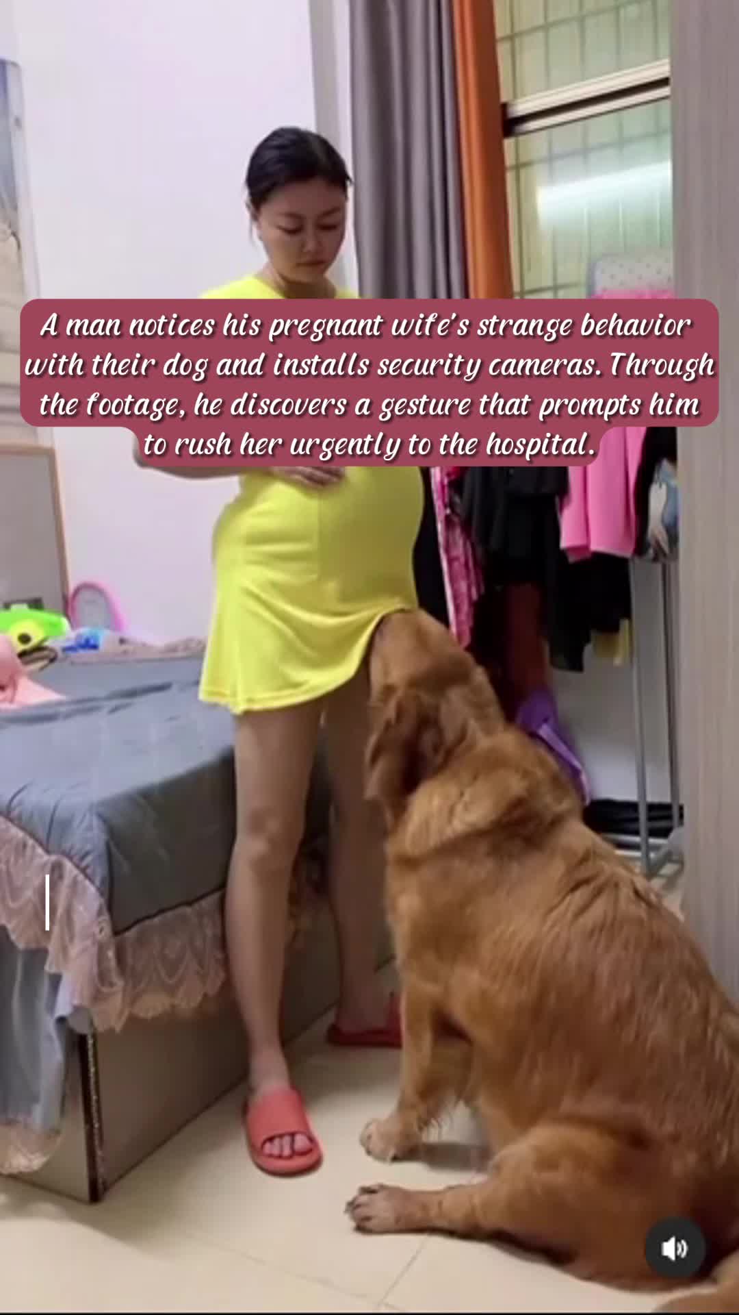@storytellin78-a-man-notices-his-pregnant-wife’s-keen-behavior-with-their-canines…