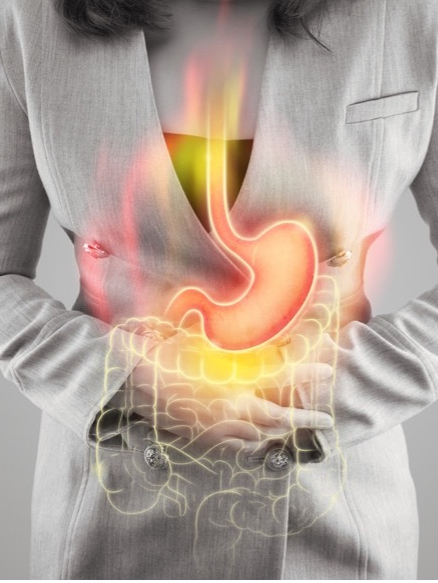 How to strengthen the digestive system?