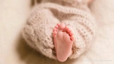 Sleep next to the mother, 5 months innocent, grandparents who came secretly, strangled the granddaughter with a blade, which is the reason