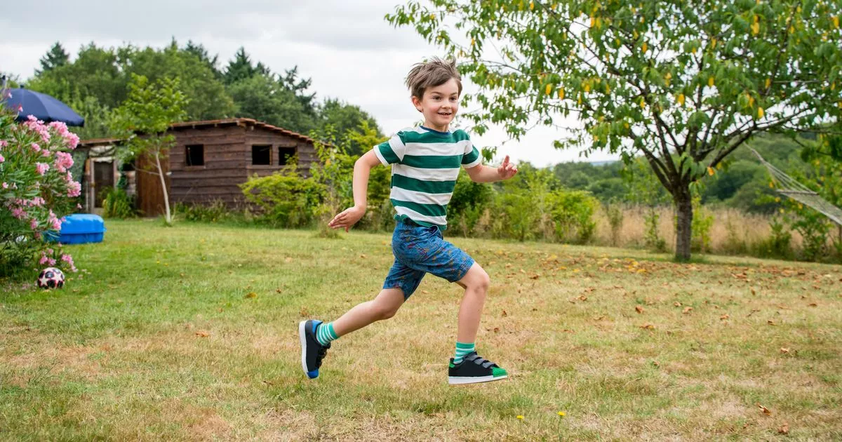 ‘My Neighbour’s Child Keeps Playing in My Garden – But She’s The One Furious at Me’ – ryan