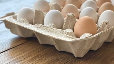 «تصيبك بمرض بالسكري».. أضرار لم تسمع عنها يسببها الإفراط في تناول البيض