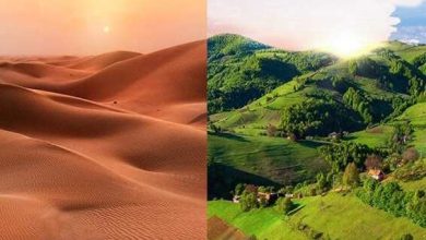 The mysterious story of the origin of the Thar Desert knows in the video how India’s greatest desert became a green area?