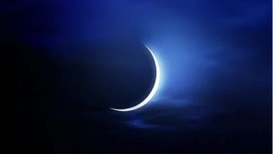 شاهد الأن. – ryan