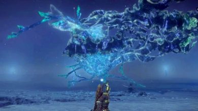 how-to-defects-…-what-the-hell-maris-is-in-nightreign