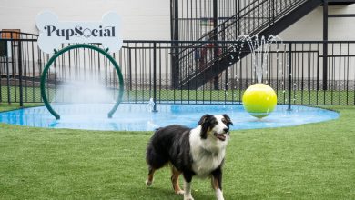 members-fully-membership-for-dog-owners-opening-in-bucktown