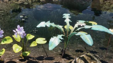 oblivion-remastered-fan-seek-nirnroot-in-a-surprisisly-hillary-location