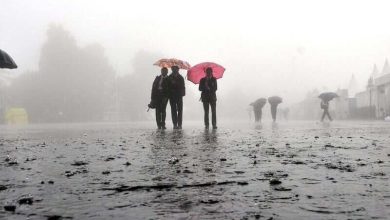 Friday morning received Shimla hailstorm and heavy rain