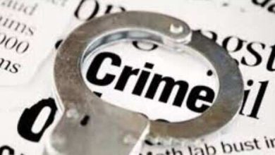 Udaipur, who was unveiled in a movie -like style of the old man in Fatehnagar, in the movie -like style, revealed the accused Girfta