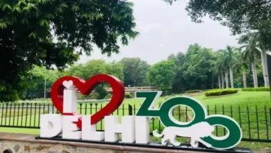 In the zoo, the Diamond elephant attacked Mahavat, the mental state was bad due to the prolonged chains -NCR elephant attack at the Delhi animal garden -discussed investigation underway