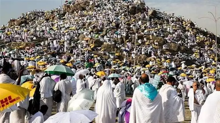 tourism-disorders-urgent-instructions-referring-to-the-hajj-season-2025-(particulars)