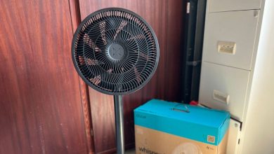 ‘i’ve-saved-my-fresh-recount-fan-in-your-whole-time-to-withhold-with-cool-thru-the-heatwave