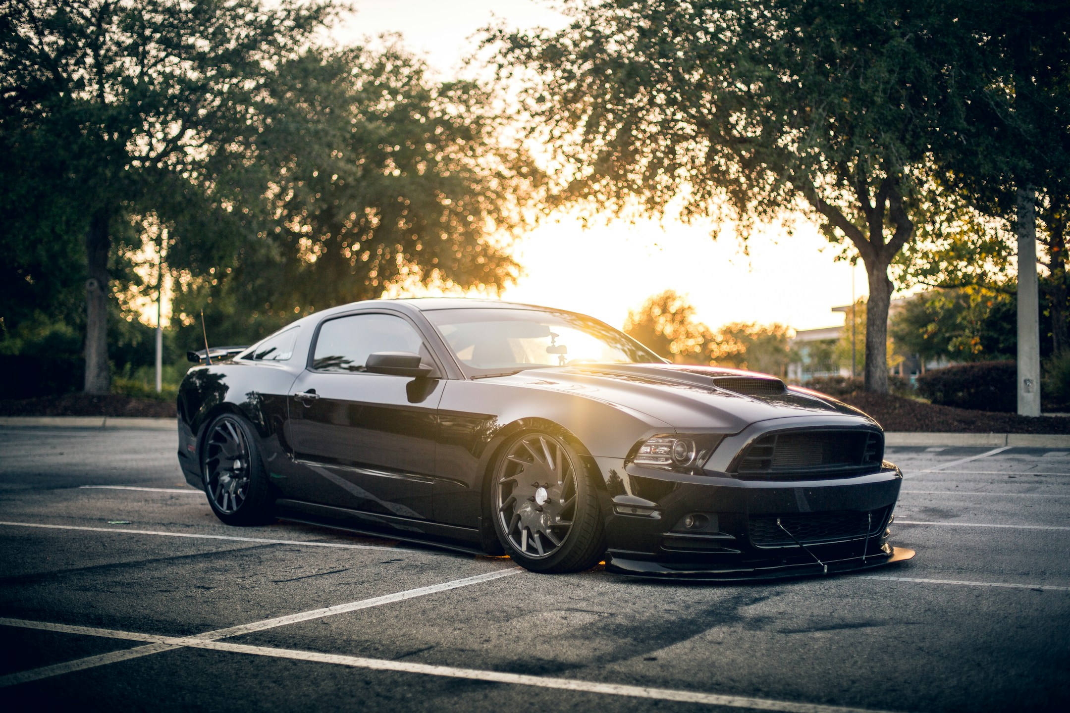 Choose the best car, so the family stays safe
