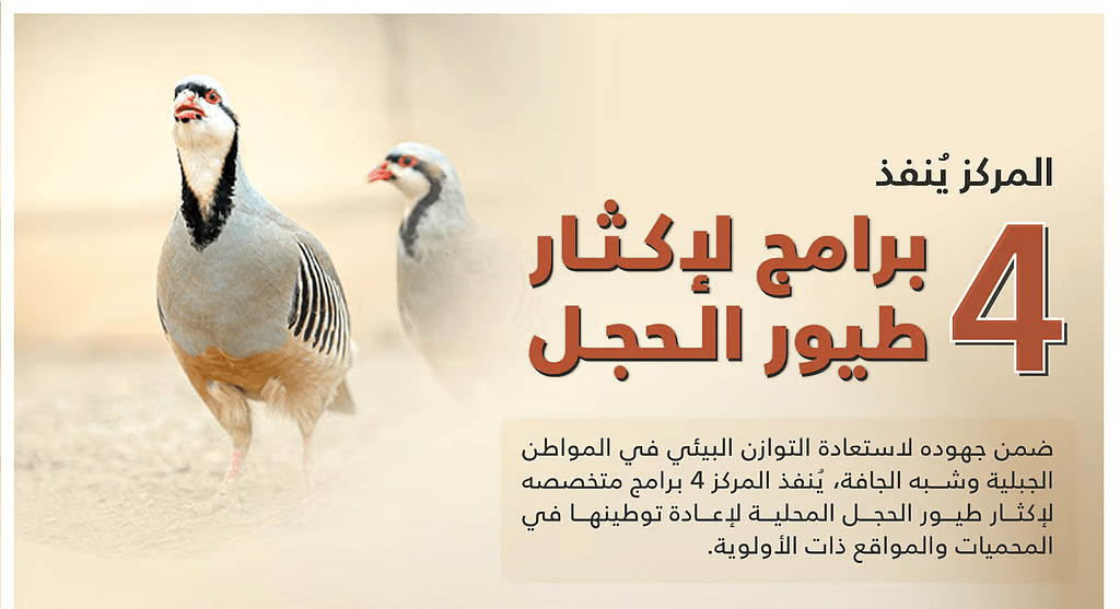 “تنمية الحياة الفطرية” تطلق 4 برامج لإكثار طيور الحجل في المملكة ** – ryan