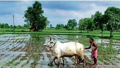 Monsoon will beat in Kerala long in advance, IMD said: How much rain will be