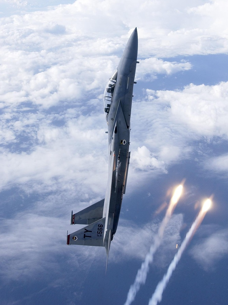 World’s deadliest fighter