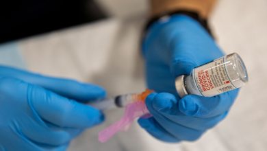 An American project to develop a ‘comprehensive vaccine’ that targets multiple breeds of viruses
