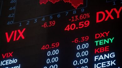 The high index of fear in the stock market does not mean an inevitable decline