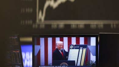German shares reach a standard peak amid optimism about the power of the economy
