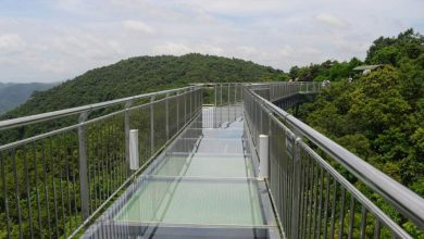 You will also definitely walk around once, the bridges of India of beautiful and adventure, you will be relaxed