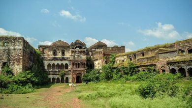 Not in the film, in this place of Rajasthan, are you also the terror of the devil? Watch the video, won’t be sure on the eyes