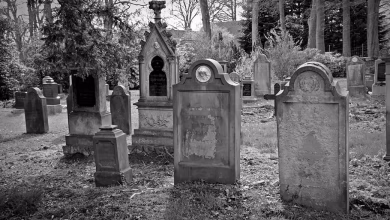 After all, why the people of this city make their grave it will be surprised