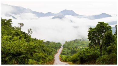 These 5 beautiful waterfalls from Kerala that will make you like this city