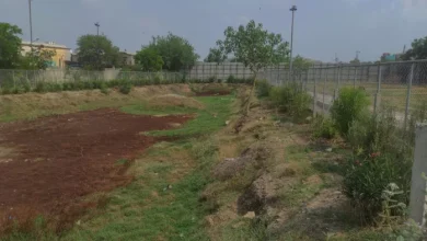 Lake-pound dried in Delhi, bad condition of Amrit Yojana! – Delhi Lakes Dying Amrit needed for Lake and Pound Survival