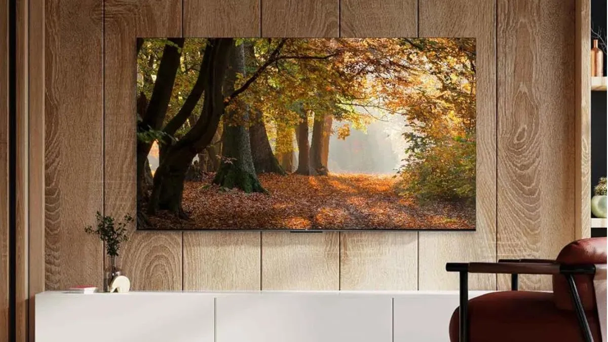 Top 10 Hisense vs. TCL LED TVs: The Picks of Best Variants (May 2025)