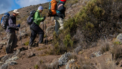 The highest peak of Africa