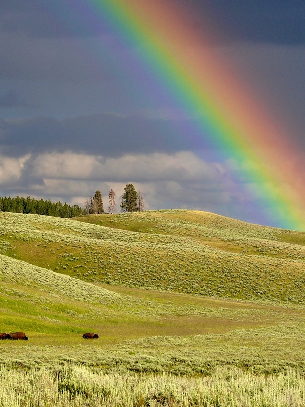 How does a rainbow become?