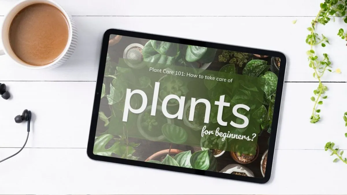 Which brand tablets have the best battery life? Transferability and slender redefined