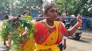 Unique views of the Pongal Festival in Delhi, dedicated to coals; Trishhul across the Wang -at the Pongal Festival in Delhi -Warwyds walked on the batsmen and Tridents passed across them