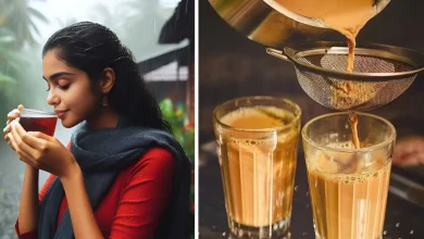 10 Best tea brands you don’t know in India: a rich taste in every SIP
