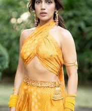 Bhoomi Pednekar’s 8 should watch movies