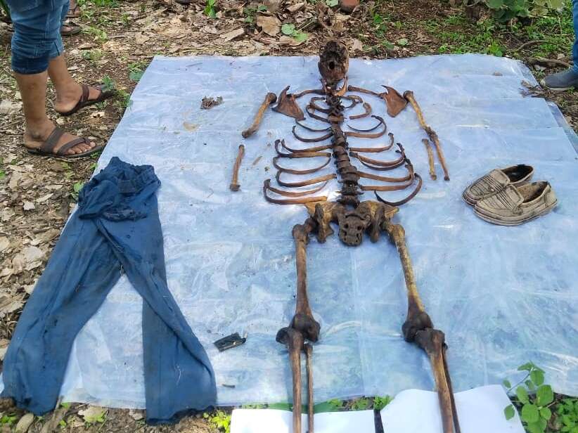 Dogs chewed the elderly of the elderly, who were missing for 9 days; Work to work to pay money on interest