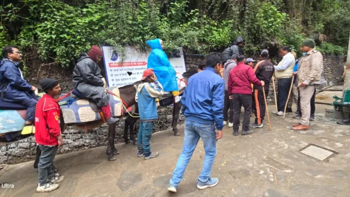 Kedarnath Yatra: Don’t note the rumors of Kedarnath Yatra … then the horses of horse mules are on foot – Kedarnath Yatra Horse Mule Services resumes on footprint