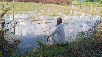 Extreme groundwater happens, fast groundwater level, dry water resources
