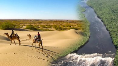 1.72 million years ago, a large river flowed into the dry desert of Thar, knowing in the video, why and how did it disappear?