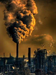 Understand what carbon footprint is, 10 steps