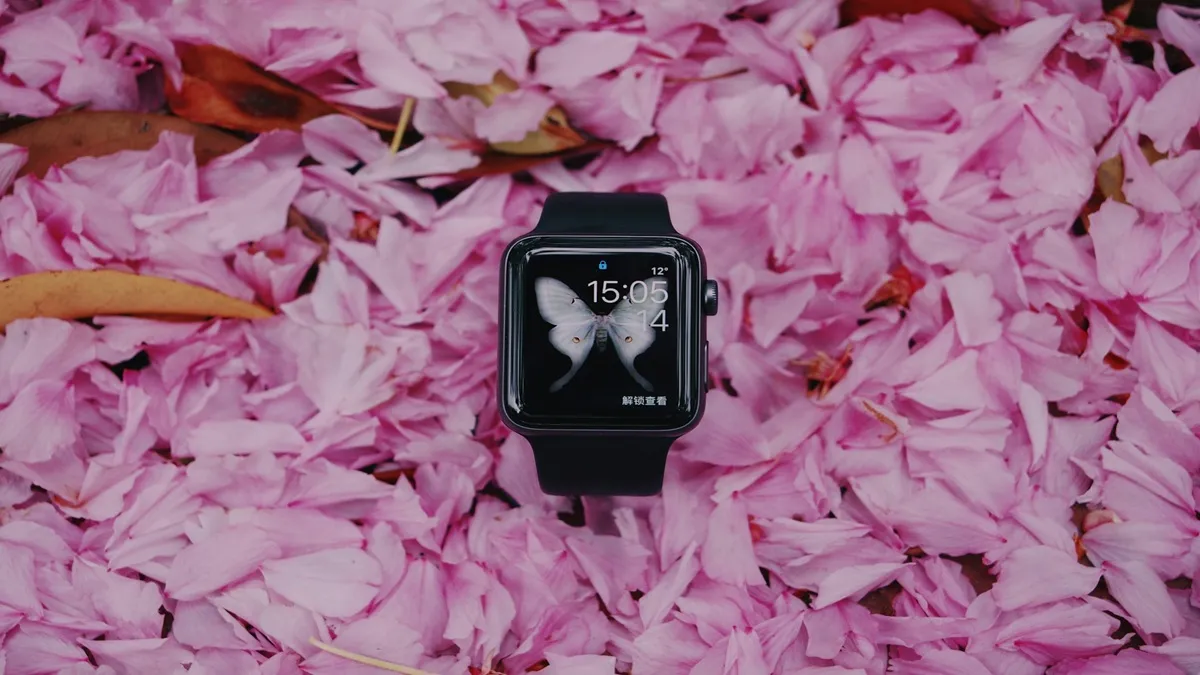 Which of the top brands for Smart Watch is best for students and working professionals?