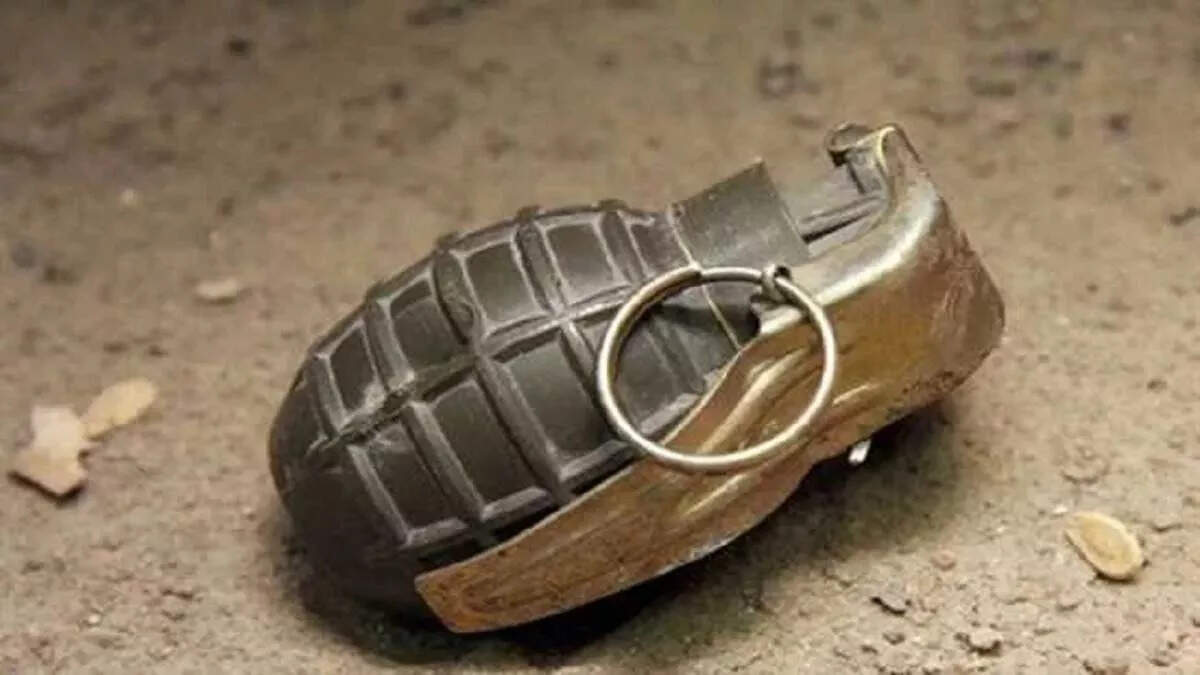 Hand grenade torn during spot drill in Bhopal, two soldiers injured, one serious