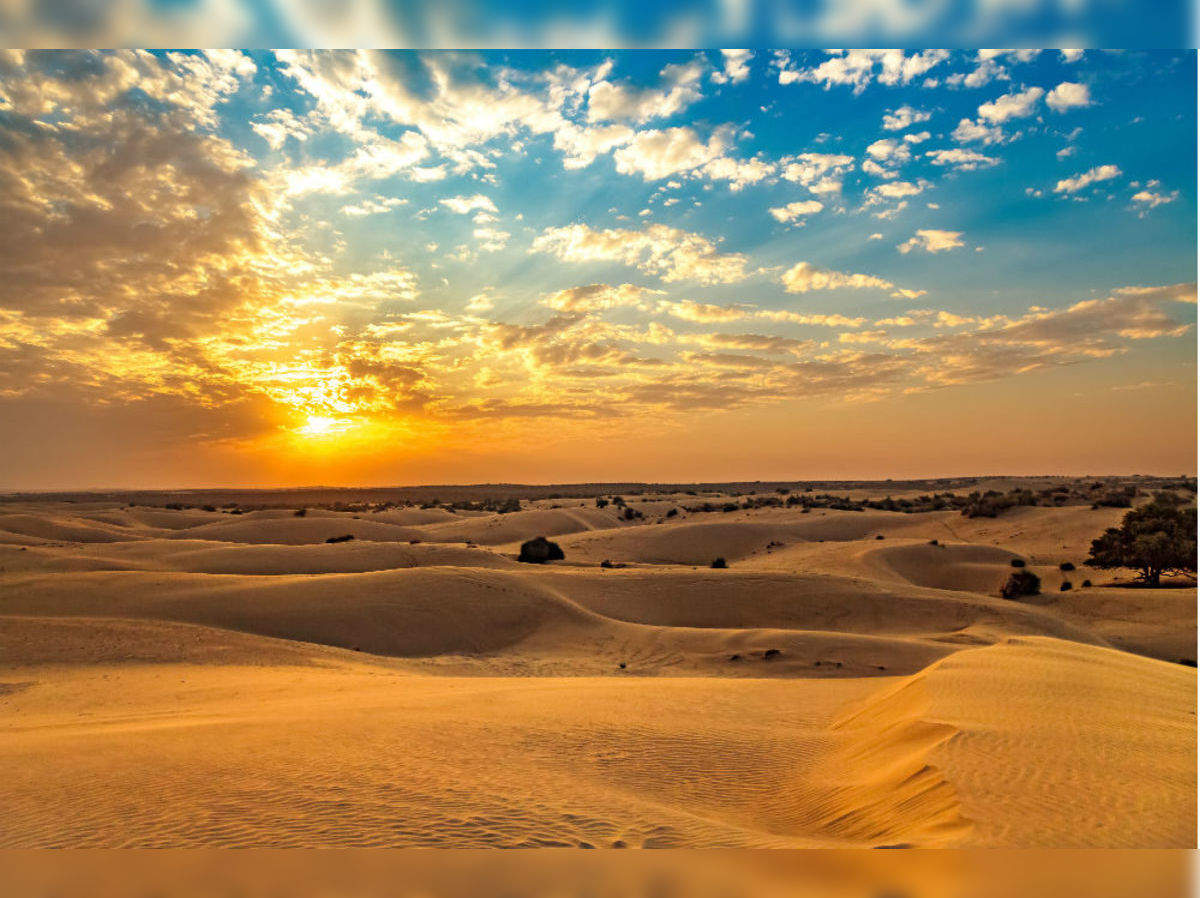 India is not only the sea of ​​sand, but from the economic, cultural and historical, is India the identity of Thar desert, how to know in the video?