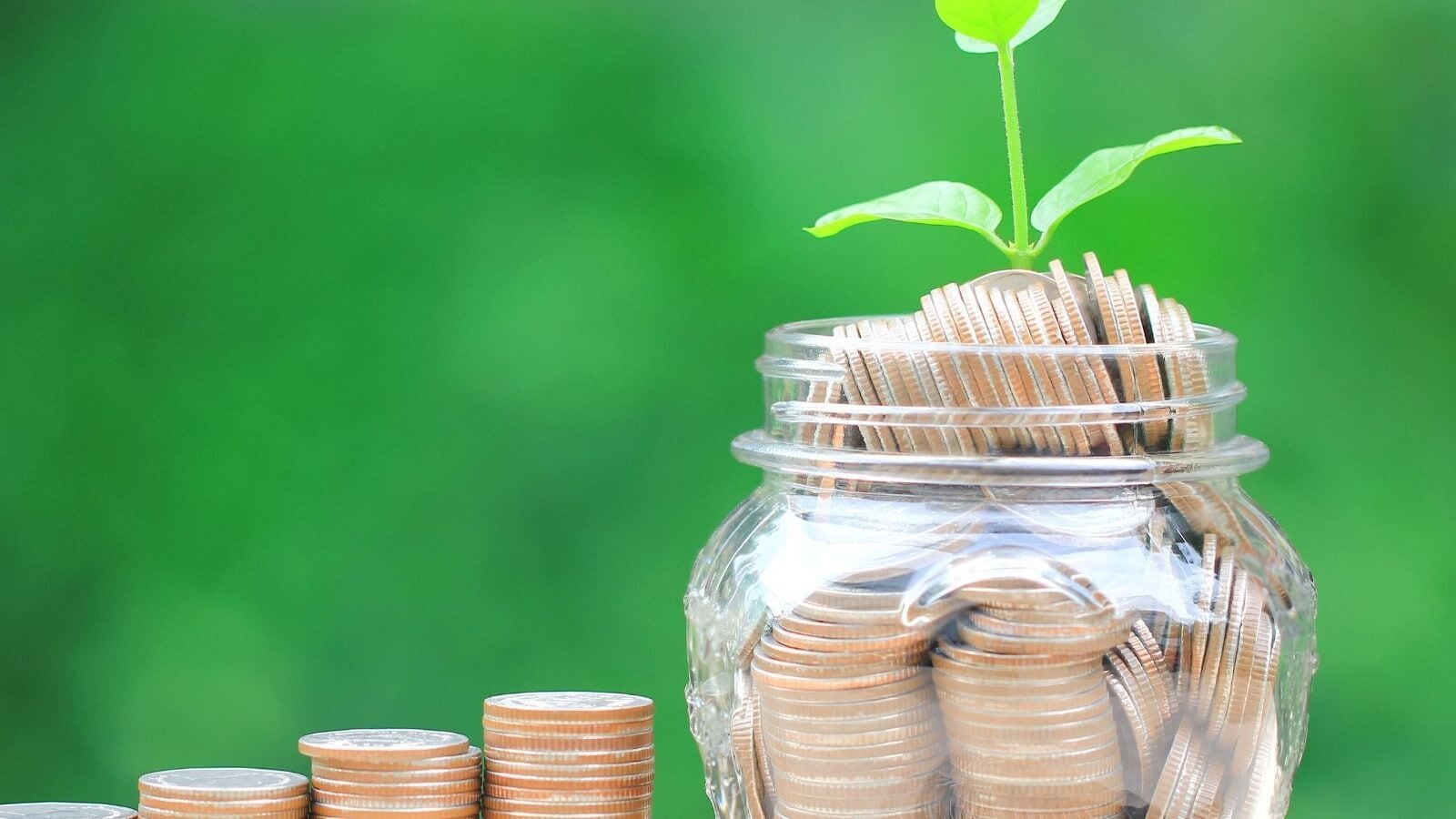 Small-cap stock below £ 50: HMA Agro shares jump to the converting of debt into equity | Einsmark news