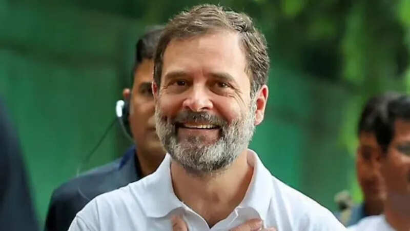 Why Rahul Gandhi’s emphasis on ‘social justice’ before Bihar election? BJP can get shock