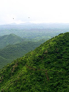 Aravali mountains disappear for these ten reasons